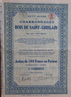 S.A. Charbonnages Du Bois De Saint-Ghislain (1921) Dour - Mijnen