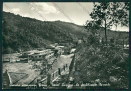 Cosenza Guardia Piemontese Terme Luigiane Foto FG Cartolina ZK1696 - Cosenza