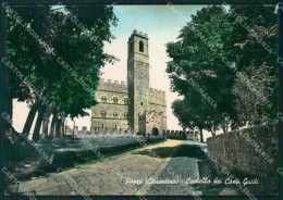 Arezzo Poppi Foto FG Cartolina ZKM8287 - Arezzo