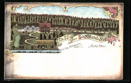 Lithographie Berka /Ilm, Gasthaus Sophienhöhe Mit Umgebung Und Wald Aus Der Vogelschau  - Bad Berka