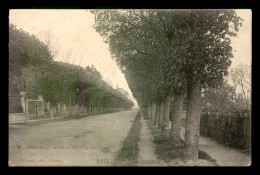 78 - CHATOU - AVENUE DES TILLEULS - Chatou