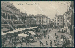 Padova Città Mercato Cartolina QT1438 - Padova