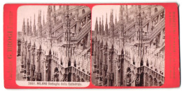 Stereo-Foto G, Brogi, Firenze, Ansicht Milano, Dettaglio Della Cattedrale, Mailänder Dom  - Photos Stéréoscopiques