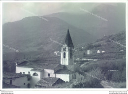 D446 - Bozza Fotografica Provincia Di Sondrio- Castione Di Chiuro - Sondrio