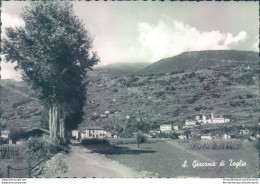 D506- Cartolina  Provincia Di Sondrio- S.giacomo Di Teglio - Sondrio