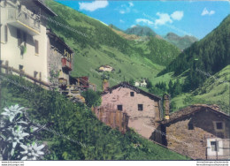 D299 -  Cartolina Provincia Di Sondrio - Tartano - Valle Lunga Valle Piana Ronde - Sondrio