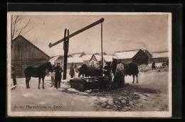 AK Kolno, An Der Pferdetränke Im Schnee  - Polonia