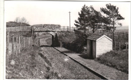 Devon - Lynton & Lynmouth To Barnstaple Railway Views,  Steam Engines, Postcard Size Plain Back - Altri & Non Classificati