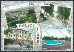 Pavia Salice Terme Saluti Da Foto FG Cartolina ZF2031 - Pavia