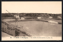 AK De Saillé Au Pouliguen, La Recolte Du Sel Marin En Plein Ete  - Miniere