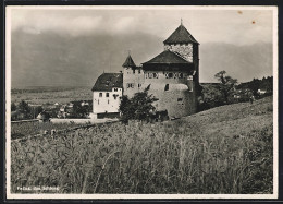 AK Vaduz, Schloss Mit Fernblick  - Liechtenstein