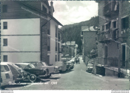 D621 - Cartolina Provincia Di Sondrio - Valmalenco - Primolo - Sondrio