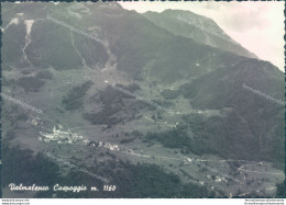 D612 - Cartolina Provincia Di Sondrio - Valmalenco  Caspoggio - Sondrio