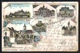 Lithographie Schweinfurt, Schloss Mainberg, Markt Mit Rückert-Denkmal, Peterstirn  - Schweinfurt