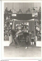 CF / Vintage Old Circus Photo // Carte Photo Ancienne Cirque Attraction // Cirque De DOUAI Février 1981 Cheval - Profesiones