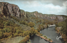 14 CLECY LES ROCHERS DES PARCS - Clécy