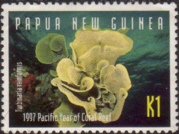 Papua New Guinea 1997 SG824 K1 Coral Reef FU - Papua New Guinea
