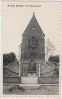 Zottegem - Deelgemeente Sint-Maria-Oudenhove - Sint-Antonius Kapel (Eeckhout) (niet Gelopen Kaart) - Zottegem