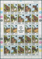 Solomon Islands 1982 SG461-465 Sanford Eagle Sheet MNH - Salomon (Iles 1978-...)