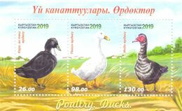2019. Kyrgyzstan, Poultry, Ducks, S/s Perforated, Mint/** - Kirghizistan