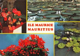 MAU-ILE MAURICE-N°4262-A/0135 - Mauricio