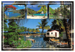 971-GUADELOUPE-N°4262-D/0311 - Autres & Non Classés