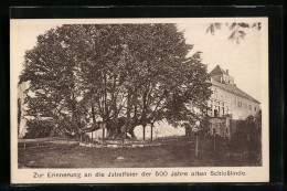 AK Augustusburg, Burgfest Zur Erinnerung An 500 Jahre Alte Schlosslinde, 1921  - Augustusburg