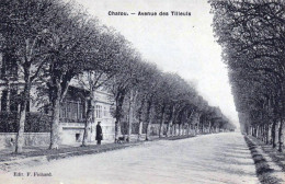 78 - Yvelines - CHATOU -  Avenue Des Tilleuls - Chatou