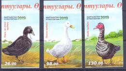 2019. Kyrgyzstan, Poultry, Ducks, 3v Imperforated, Mint/** - Kirgisistan