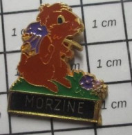 1515A Pin's Pins / Beau Et Rare : VILLES / MORZINE MARMOTTE AEVC UN SAC A DOS Et Le Papier Alu Il Est Où ? - Cities