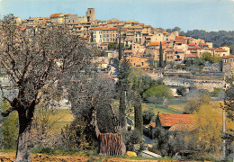 06-BIOT-N°4265-D/0229 - Biot