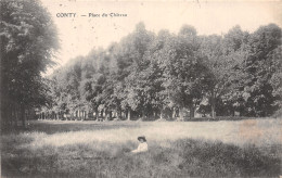 80-CONTY-N° 4431-B/0085 - Conty