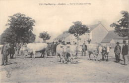 18-CULAN-N°6045-E/0203 - Culan