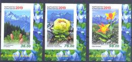 2019. Kyrgyzstan, Red Book, Flora Of Kyrgyzstan, 3v Imperforated, Mint/** - Kirgisistan