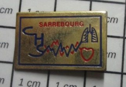 1618A Pin's Pins / Beau Et Rare : MEDICAL / CHS HOPITAL SARREBOURG - Medical