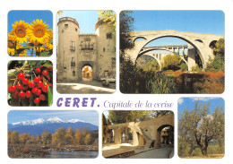 66-CERET-N° 4435-C/0169 - Ceret