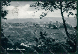 Terni Orvieto Foto FG Cartolina ZKM7456 - Terni