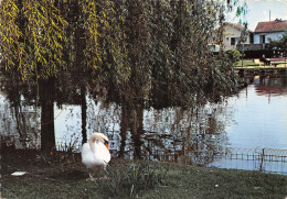 93-AULNAY SOUS BOIS-N° 4438-B/0125 - Aulnay Sous Bois