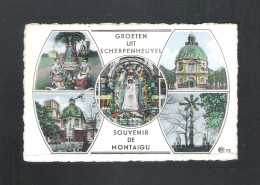 SCHERPENHEUVEL - GROETEN UIT SCHERPENHEUVEL - SOUVENIR DE MONTAIGU  (12.587) - Scherpenheuvel-Zichem