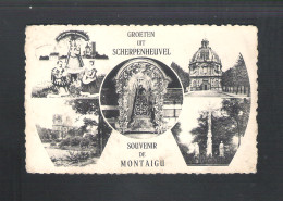 SCHERPENHEUVEL - GROETEN UIT SCHERPENHEUVEL - SOUVENIR DE MONTAIGU  - NELS (12.589) - Scherpenheuvel-Zichem