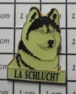 1618B Pin's Pins / Beau Et Rare : ANIMAUX / CHIEN DE TRAINEAU HUSKY LA SCHLUCHT - Dieren