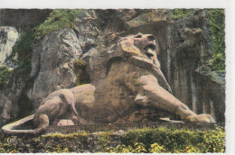 Cpsm Format Cpa.84. BELFORT . LE LION ( OEUVRE DE BARTHOLDI )  CARTE COLORISEE NON ECRITE - Belfort – Le Lion