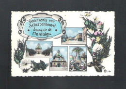 SCHERPENHEUVEL - GEDENKENIS VAN  SCHERPENHEUVEL - SOUVENIR DE MONTAIGU  (12.598) - Scherpenheuvel-Zichem