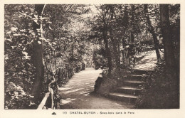 FRANCE - Chatel Guyon - Vue Générale - Sous Bois Dans Le Parc - Un Escalier - Carte Postale Ancienne - Châtel-Guyon