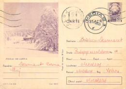 Postal Stationery Postcard Romania Winter Landscape - Roemenië