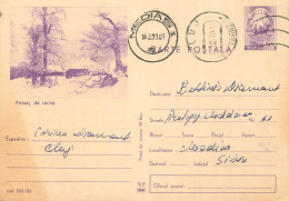 Postal Stationery Postcard Romania Winter Landscape - Romania