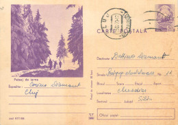 Postal Stationery Postcard Romania Winter Landscape - Roemenië