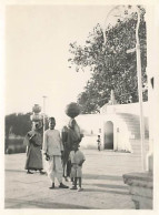 Photo - Inde - UDAÏPUR - Au Bord Du Lac Pichola - Femmes Portant Des Cruches - Format 8,5 X 11 Cm - India