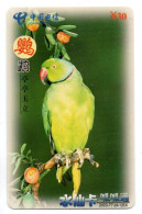 Télécarte Chine Bird Oiseau Vogel Perroquet Parrot (K 246) - Cina