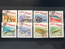 Romania. Used 1964 - Fishes